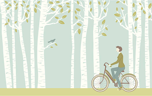 Spring Ride A retro-style woman takes a bike ride through the spring trees while a bird watches. Includes a version without the woman and the bike as well as a version of just the woman on the bike. aspen tree stock illustrations