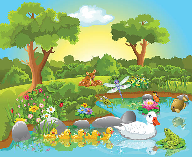 Spring time depiction of animals by a pond vector illustration of life on pond, with cute animals living happily together duck pond stock illustrations