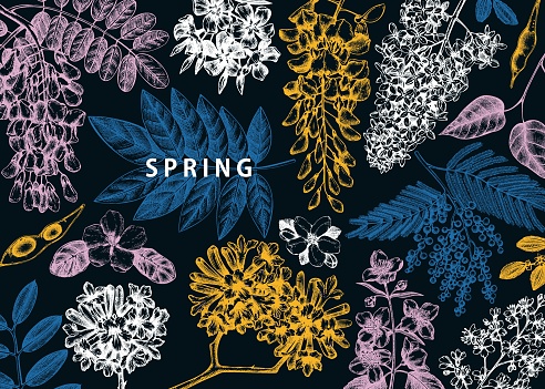 Spring trees in flowers vintage design