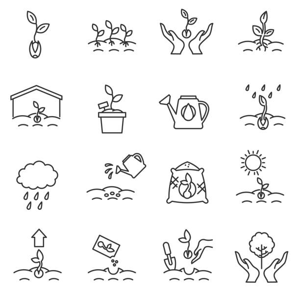sprout icons set. Editable stroke. sprout icons set. growing plants from seeds collection. cultivation, care of sprouts and seedlings.Thin line design. gardening, vector linear illustration gardening icons stock illustrations