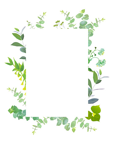 Square botanical vector design frame