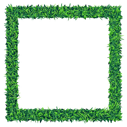 Square empty grass and leaves frame on white background