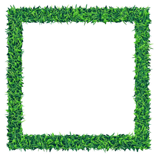 Square empty grass and leaves frame on white background Green frame illustration: The eps file is organised into three layers and you can mass edit the leaves and the grass as they come from five editable symbols. grass borders stock illustrations