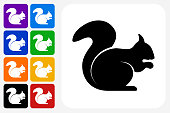 Squirrel Icon Square Button Set. The icon is in black on a white square with rounded corners. The are eight alternative button options on the left in purple, blue, navy, green, orange, yellow, black and red colors. The icon is in white against these vibrant backgrounds. The illustration is flat and will work well both online and in print.