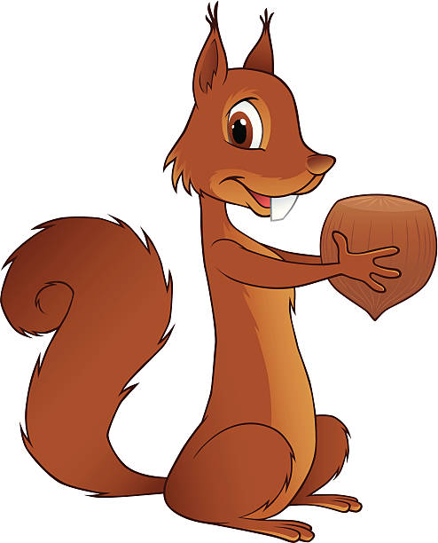 Squirrel vector art illustration