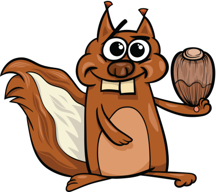 squirrel with nut cartoon illustration