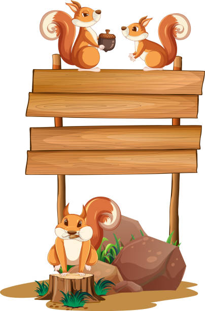 Squirrel with wooden sign banner vector art illustration