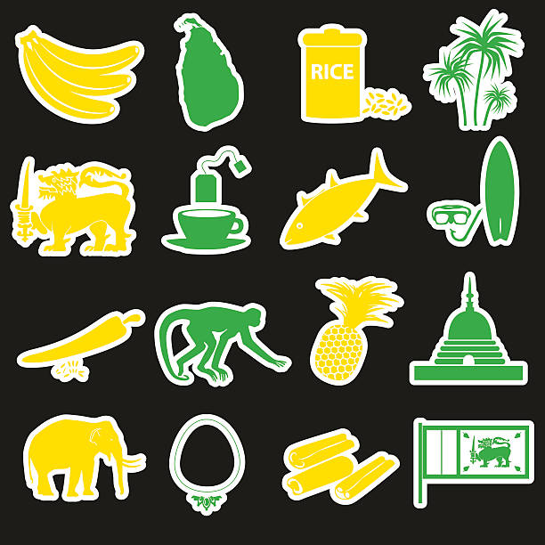 sri-lanka land symbole farbe aufkleber set eps10 - pineapple plantation stock-grafiken, -clipart, -cartoons und -symbole
