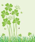 Vector St. Patrick's day background with clover .