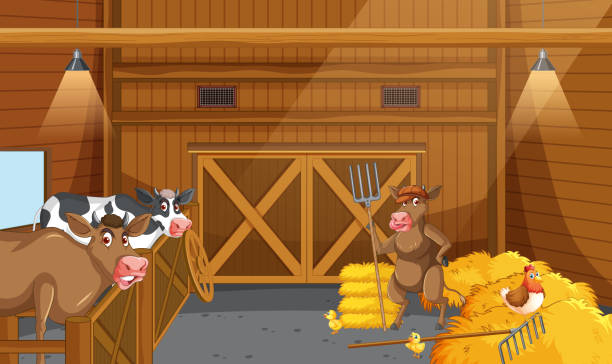 Stable scene with cows and chicken inside vector art illustration