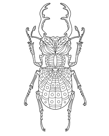 Stag beetle coloring page for children and adults. Beautiful drawings with patterns and small details. Hand drawing vector illustration