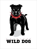 Wild dog. Black wild dog. Bulldog. Rottweiler. Dog in alert position