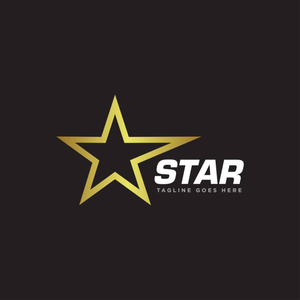 Star Logo Icon Design Vector Star Logo Icon Design Vector leadership borders stock illustrations