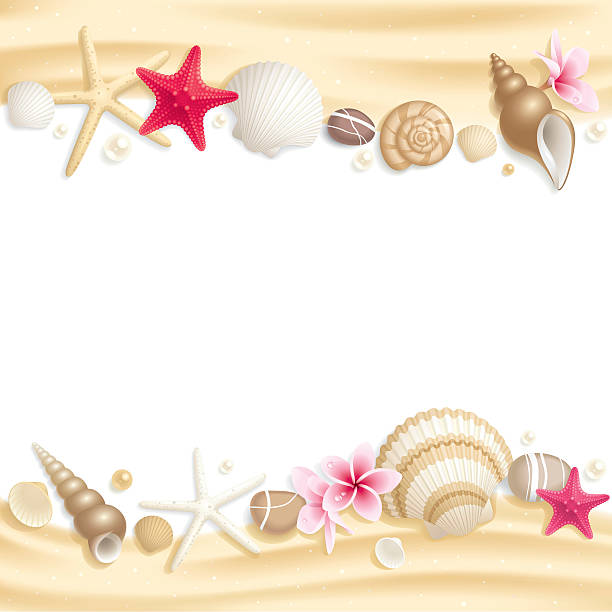 Stationary with seashells on top and bottom of page Background with seashells and starfishes making a frame for any text. beach borders stock illustrations
