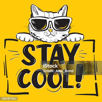 istock Stay cool quote hand drawn trendy design with cat in sunglasses 1367877042