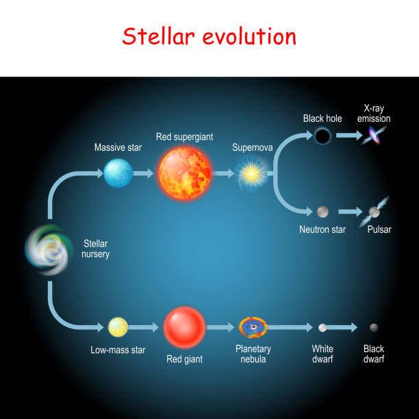 illustrazioni stock, clip art, cartoni animati e icone di tendenza di evoluzione stellare. ciclo di vita di una stella. - nani