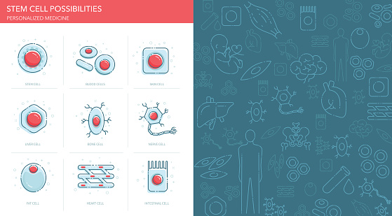 Stem Cell Possibilities Icons Set