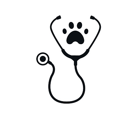 Stethoscope for animal diagnosis line icon, outline vector sign, linear style pictogram isolated on white. Veterinary symbol, logo illustration.