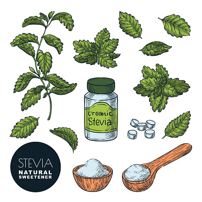 Stevia Bitki Yaprakları Toz Ve Şişe Hapları Vektör Kroki ...