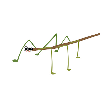 Stick Insect animal cartoon character vector illustration.