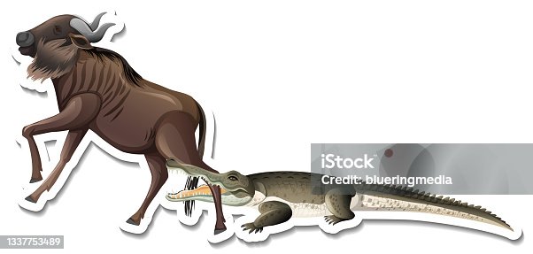 istock A sticker template of crocodile and wildebeest 1337753489