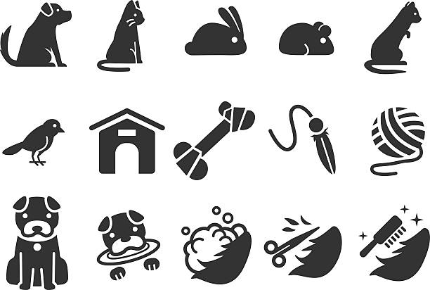 bildbanksillustrationer, clip art samt tecknat material och ikoner med stock vector illustration: pet icons set 1 - cat leash