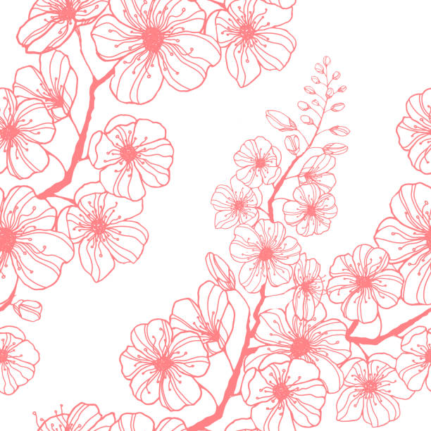 手描きのピンクの桜枝を持つストックベクターシームレスパターン。インクイラストシルエット咲き桜。日本の春休みのラッピング、文房具、ベッドライン、壁紙、生地を飾ります。 - 花柄点のイラスト素材／クリップアート素材／マンガ素材／アイコン素材