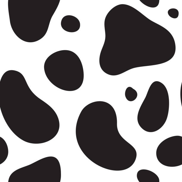 BLACK AND WHITE COWS WITH  BLUE AND WHITE CHECK WALLPAPER BORDER 