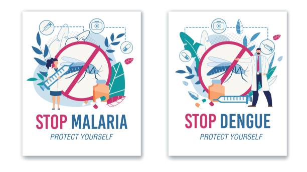 Stop Malaria and Dengue Protective Sign Poster Set Stop Malaria and Dengue. Protective Sign No Mosquitos. Specialist Offering Vaccine Against Insects Bites. Tertian and Yellow Fever Protection. Promotion Flat Poster Set. Vector Cartoon Illustration dengue fever fever stock illustrations