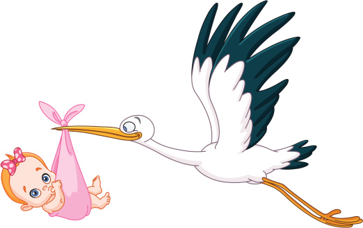 Stork and baby girl