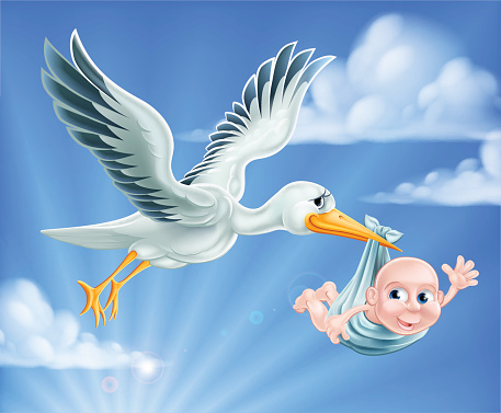 Stork and Baby Illustration