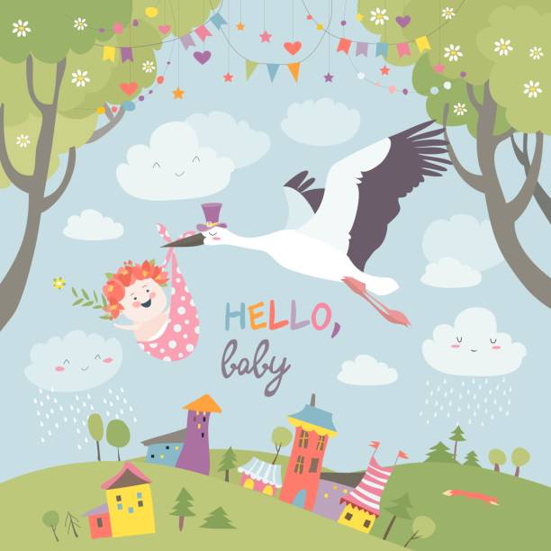 Pink And Blue Grow Stork Boy Girl Welcome Home New Baby Bunting 