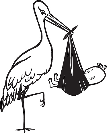 Stork Carrying a Baby