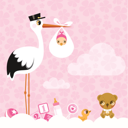stork for girls. Newborn invitation baby shower pink cute
