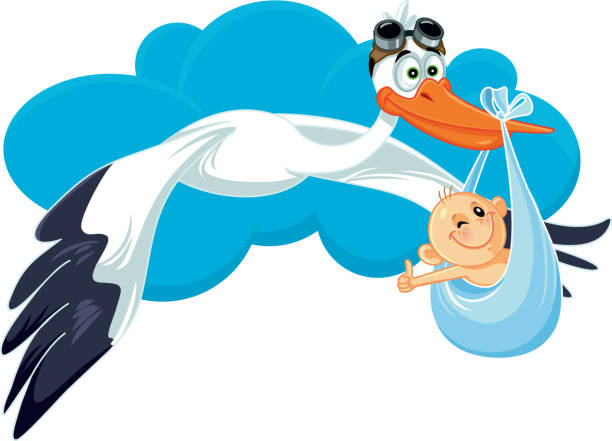 stockillustraties, clipart, cartoons en iconen met ooievaar met baby uitnodiging kaart vector cartoon - bevalling geboorte