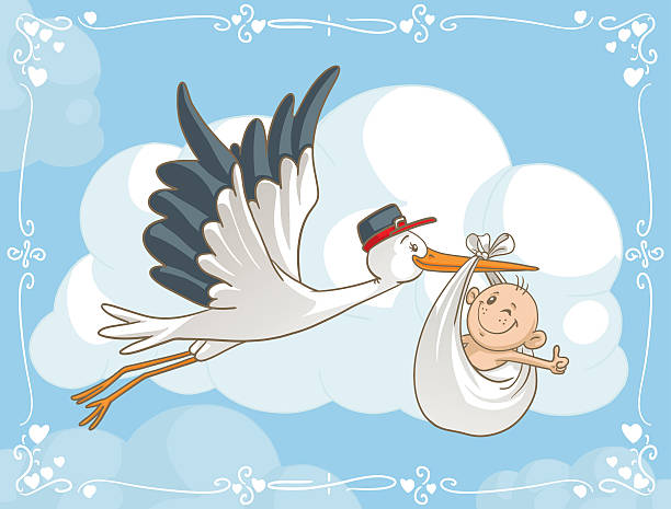 Stork with Baby Vector Cartoon Vector cartoon of a cute stork carrying a baby to its destination. File type: vector EPS AI8 compatible.  pregnant borders stock illustrations