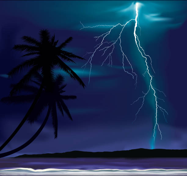 Storm on a beach Storm on a beach Illustration. lightning silhouettes stock illustrations