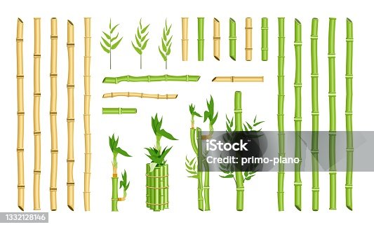 istock Straight curved bamboo stick stem border frame element set 1332128146