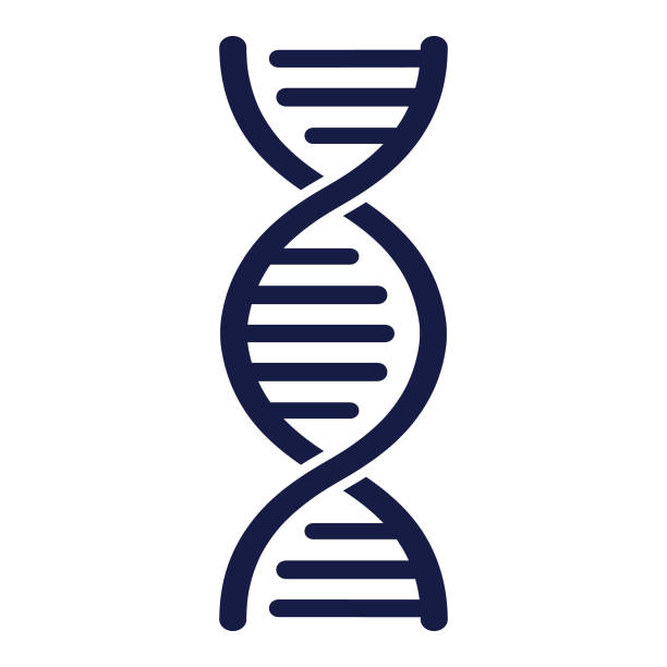 DNA Strand - Vector DNA vector illustration dna clipart stock illustrations