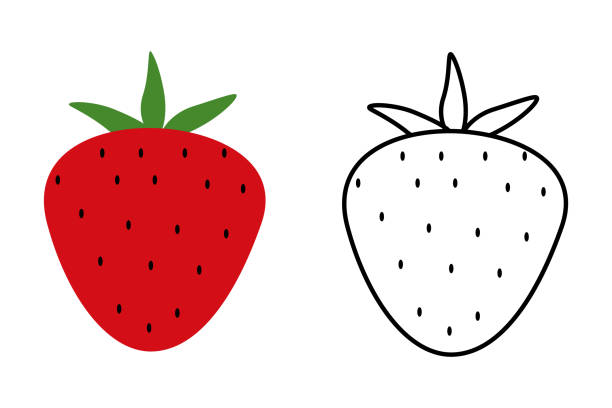 Strawberry icon.  Fruit symbol. Sign sweet vitamin food vector. Strawberry icon.  Fruit illustration symbol. Sign sweet vitamin food vector. smoothie silhouettes stock illustrations