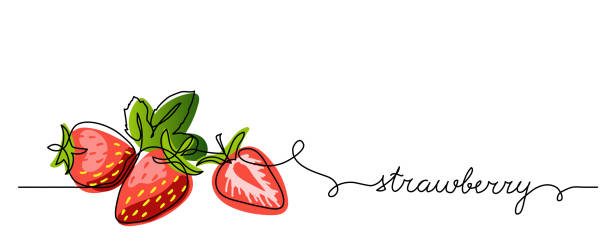 Strawberry vector color illustration, background, banner for label design. One continuous line drawing of strawberry with lettering. Editable black stroke Strawberry vector color illustration, background, banner for label design. One continuous line drawing of strawberry with lettering. Editable black stroke. smoothie drawings stock illustrations