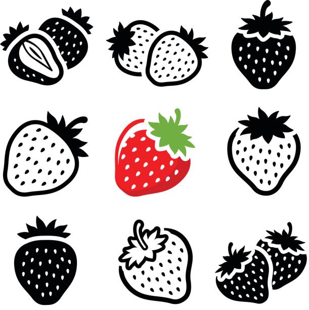 Strawberry Strawberry icon collection - vector illustration strawberries stock illustrations