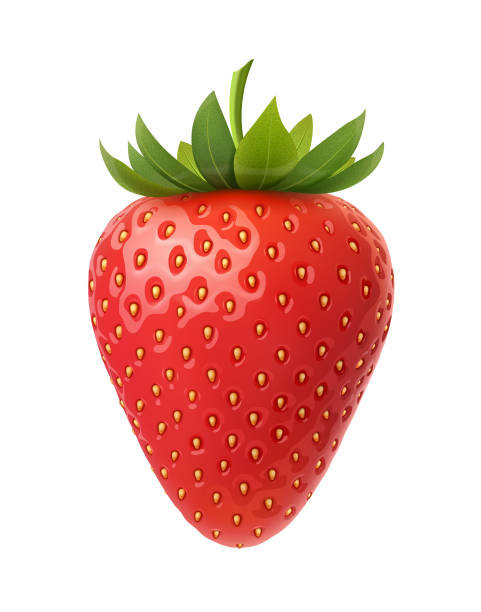 bildbanksillustrationer, clip art samt tecknat material och ikoner med strawberry vektor illustration - jordgubbar