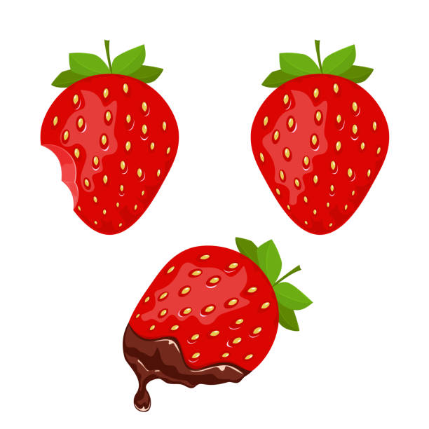 Strawberry with Chocolate on White Background Set of ripe strawberry and red strawberry with chocolate isolated on white background, illustration. strawberry cartoon stock illustrations