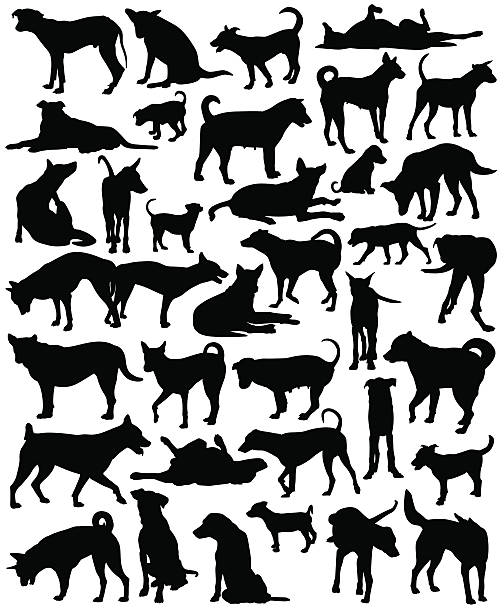 Street dogs Collection of editable vector silhouettes of a motley group of Bangkok street dogs dog silhouettes stock illustrations