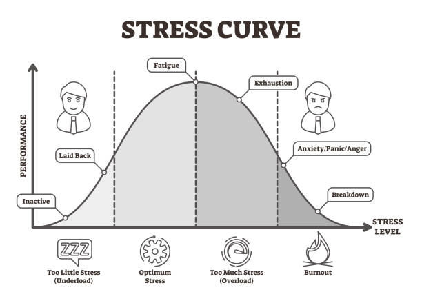 Stress curve vector illustration. Flat BW labeled performance level graphic vector art illustration