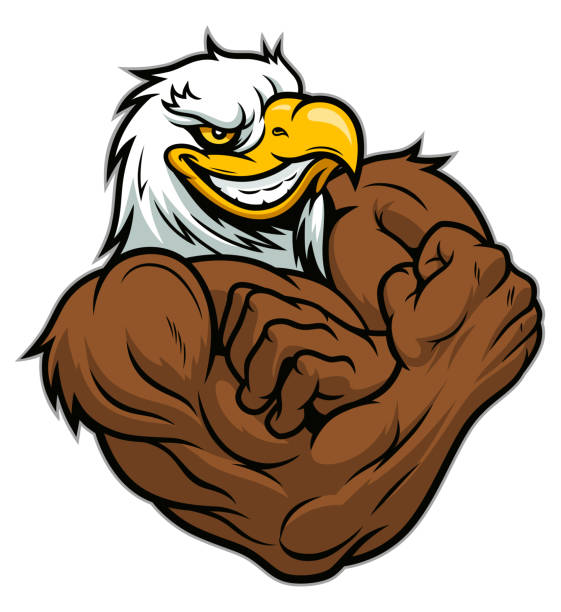stockillustraties, clipart, cartoons en iconen met sterke eagle - eagle cartoon