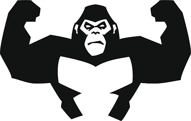 strong gorilla illustration of a muscular gorilla gorilla stock illustrations