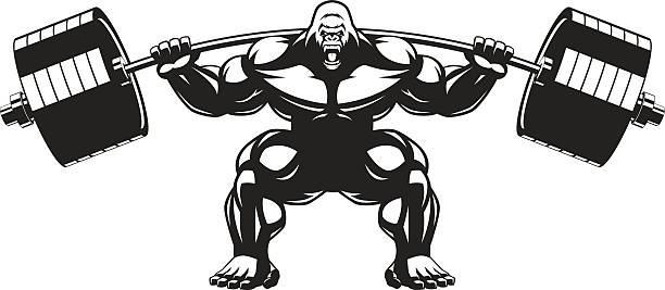 Strong monkey athlete Vector illustration of an angry gorilla with a barbell gorilla stock illustrations