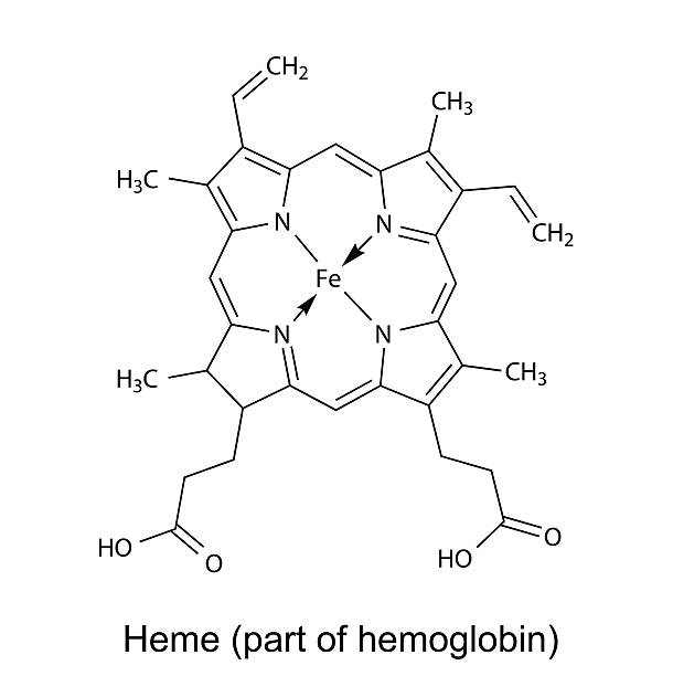 Structural chemical formula of  heme molecule vector art illustration